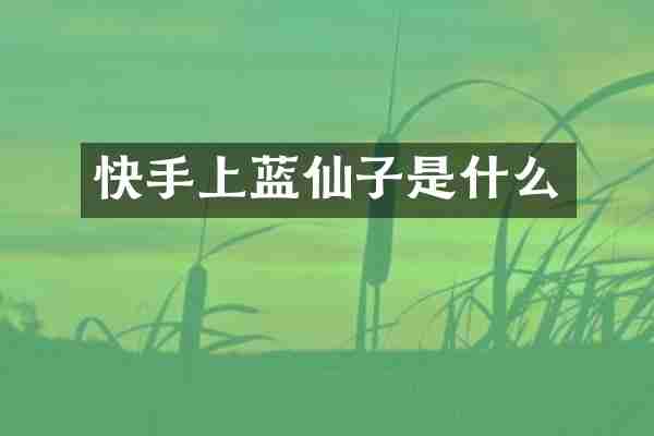 快手上蓝仙子是什么
