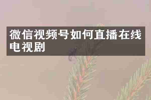 微信视频号如何直播在线电视剧