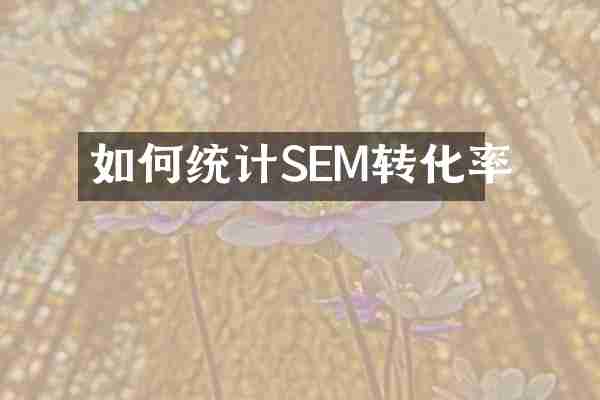 如何统计SEM转化率