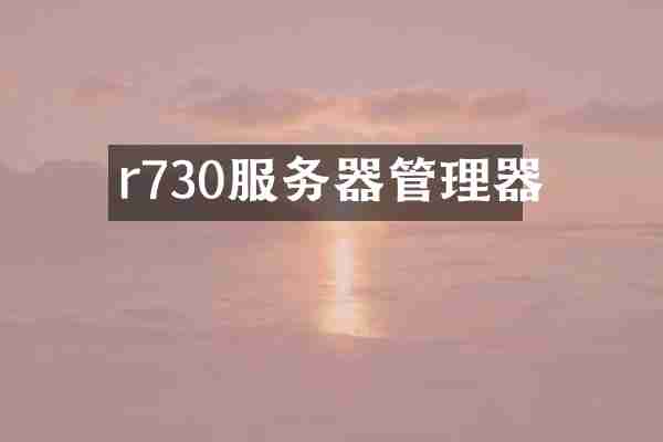 r730服务器管理器