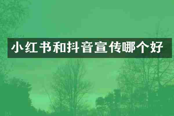 小红书和抖音宣传哪个好