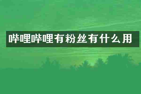 哔哩哔哩有粉丝有什么用