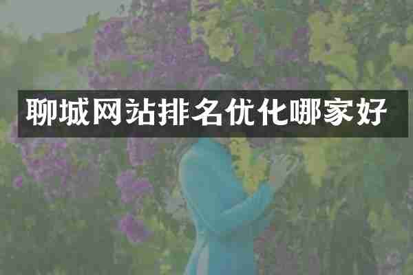 聊城网站排名优化哪家好