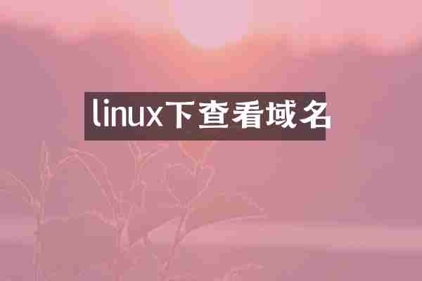 linux下查看域名
