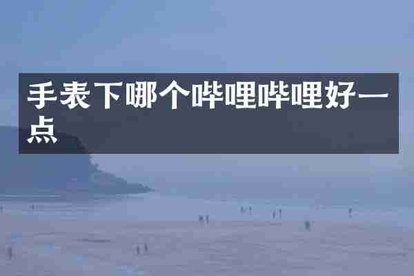 手表下哪个哔哩哔哩好一点