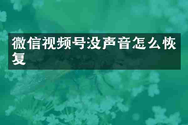 微信视频号没声音怎么恢复