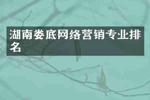 湖南娄底网络营销专业排名
