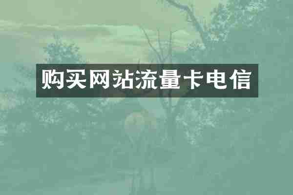 购买网站流量卡电信