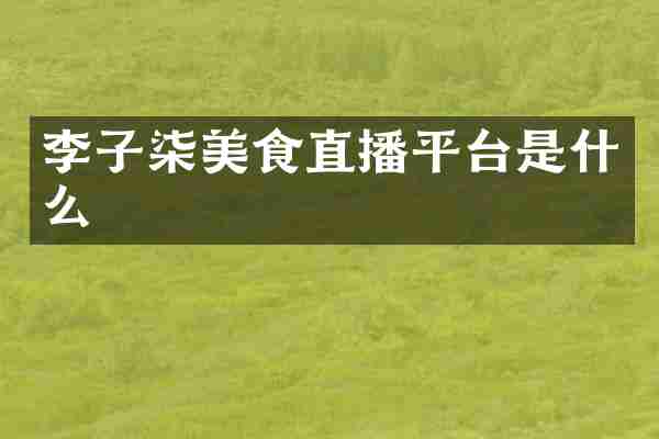 李子柒美食直播平台是什么