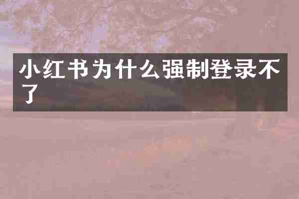 小红书为什么强制登录不了