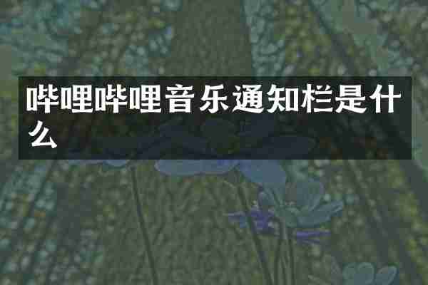 哔哩哔哩音乐通知栏是什么