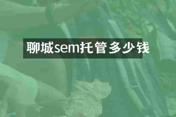 聊城sem托管多少钱