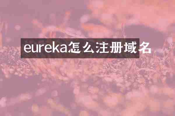 eureka怎么注册域名