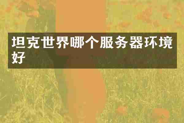 坦克世界哪个服务器环境好