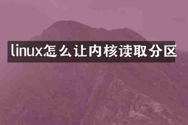 linux怎么让内核读取分区