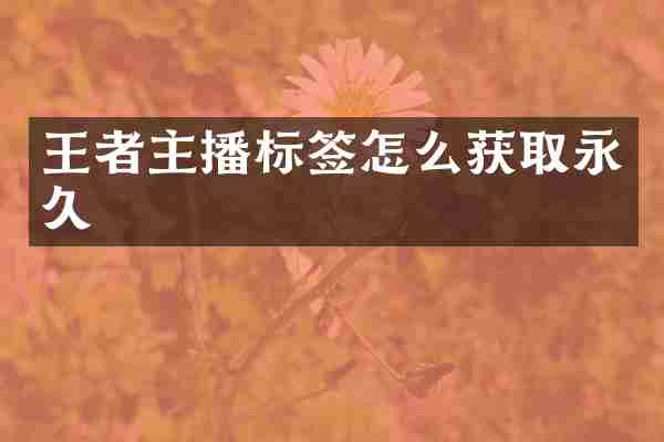 王者主播标签怎么获取永久