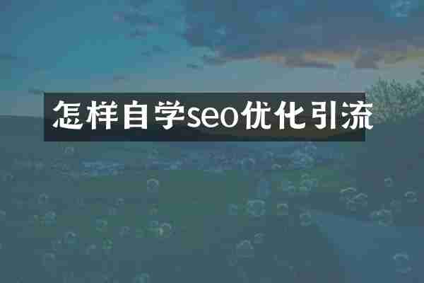 怎样自学seo优化引流