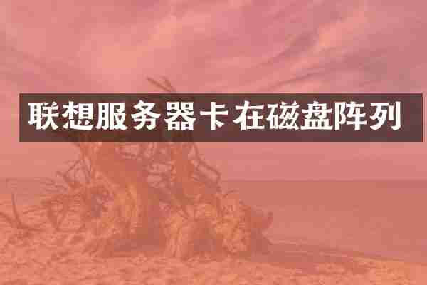 联想服务器卡在磁盘阵列