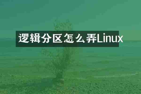 逻辑分区怎么弄Linux