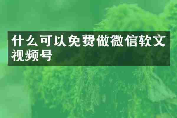 什么可以免费做微信软文视频号