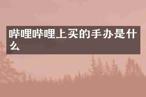 哔哩哔哩上买的手办是什么