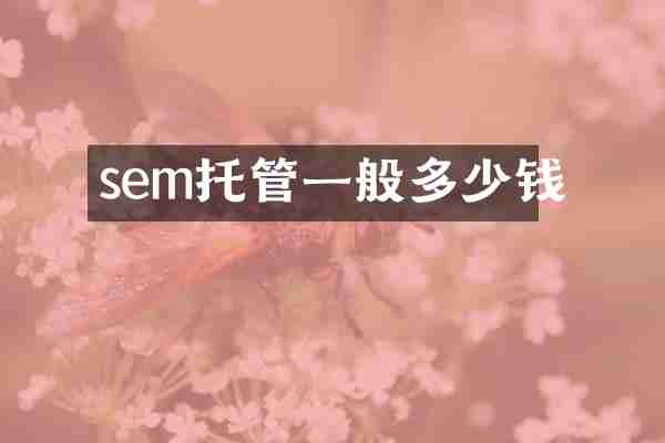 sem托管一般多少钱