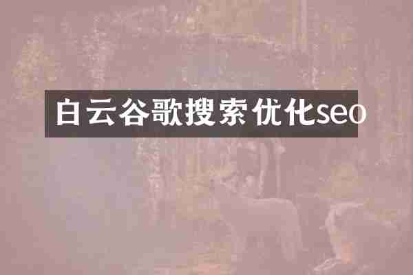白云谷歌搜索优化seo