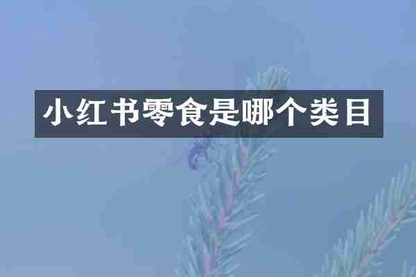 小红书零食是哪个类目