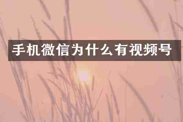 手机微信为什么有视频号
