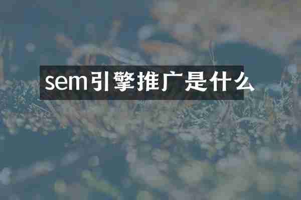 sem引擎推广是什么
