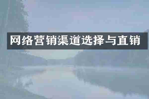 网络营销渠道选择与直销