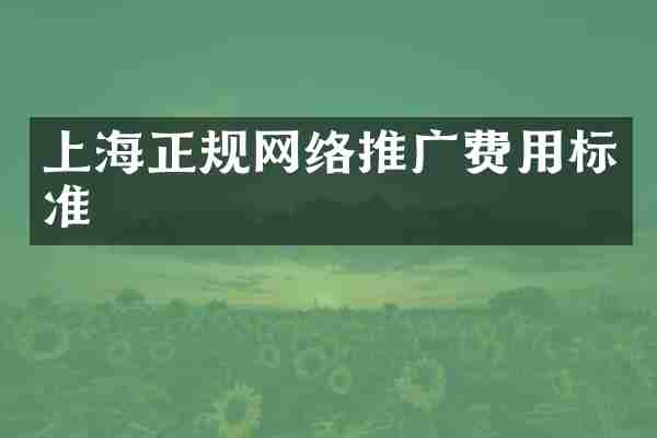 上海正规网络推广费用标准
