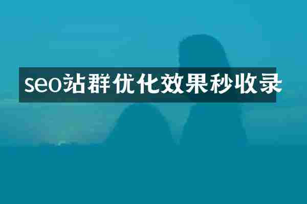 seo站群优化效果秒收录