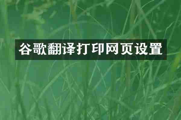 谷歌翻译打印网页设置