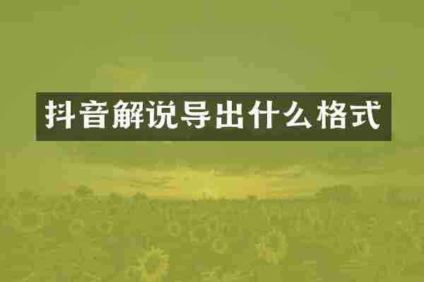 抖音解说导出什么格式