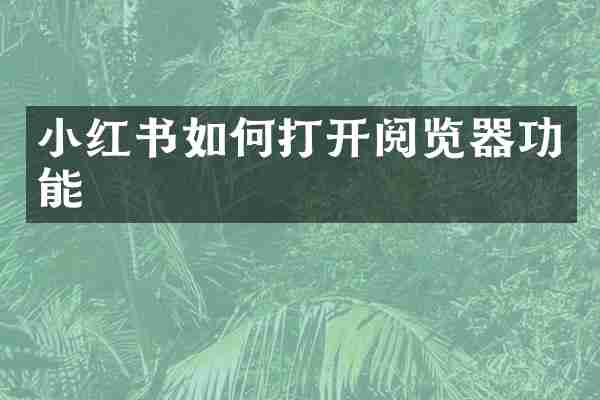 小红书如何打开阅览器功能