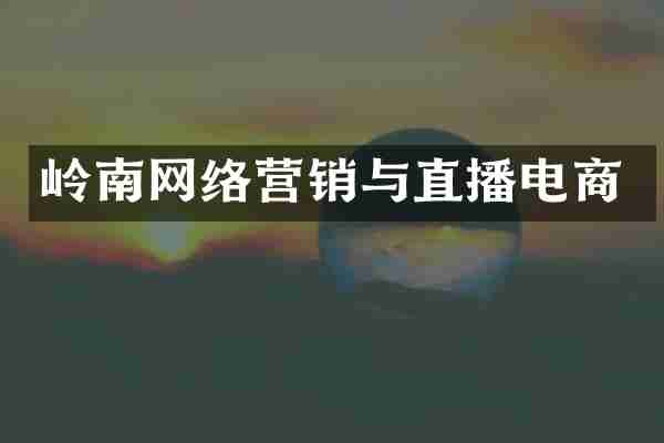 岭南网络营销与直播电商