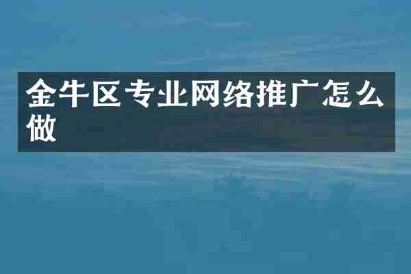 金牛区专业网络推广怎么做