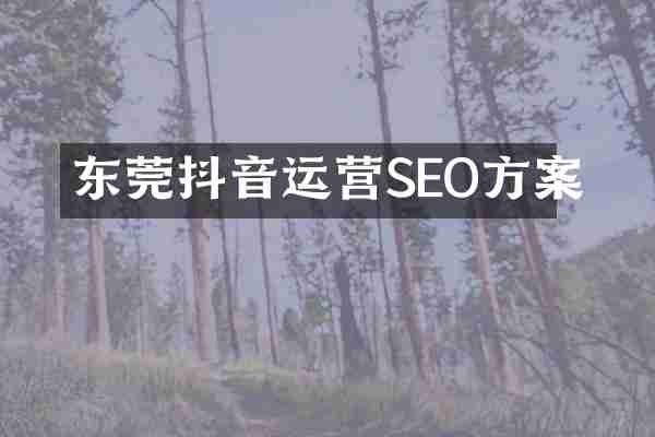 东莞抖音运营SEO方案