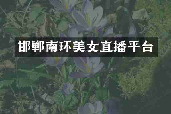 邯郸南环美女直播平台