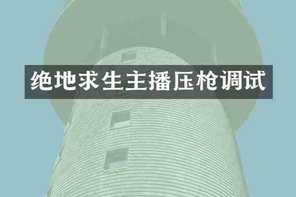 绝地求生主播压枪调试