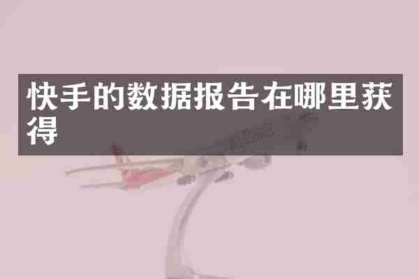 快手的数据报告在哪里获得