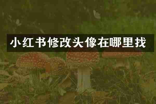 小红书修改头像在哪里找