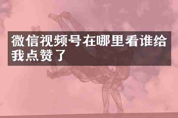 微信视频号在哪里看谁给我点赞了