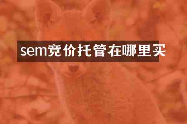 sem竞价托管在哪里买