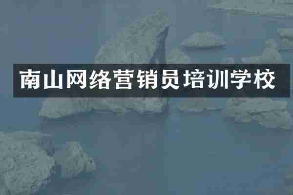南山网络营销员培训学校