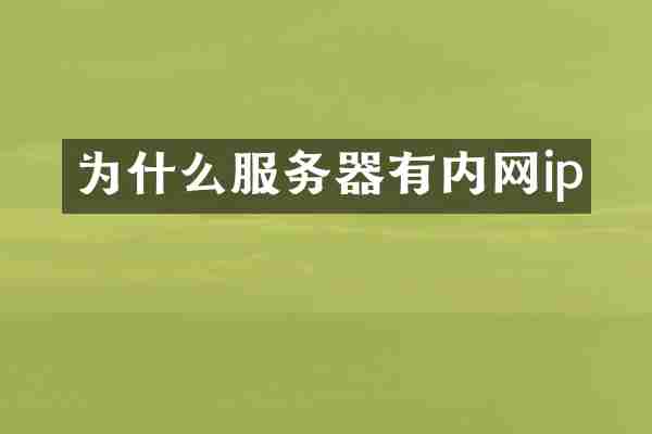 为什么服务器有内网ip