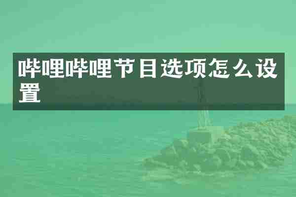 哔哩哔哩节目选项怎么设置