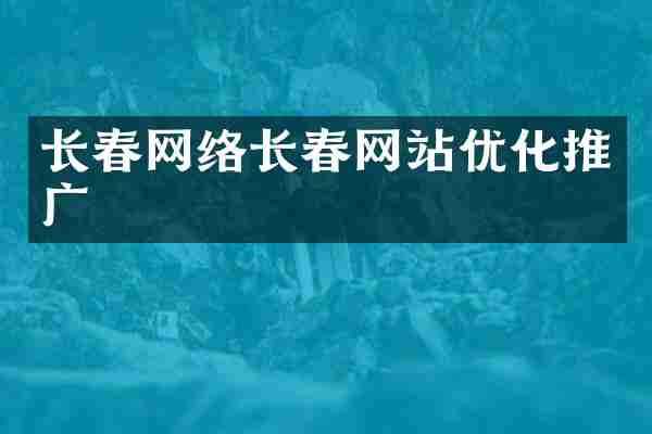 长春网络长春网站优化推广