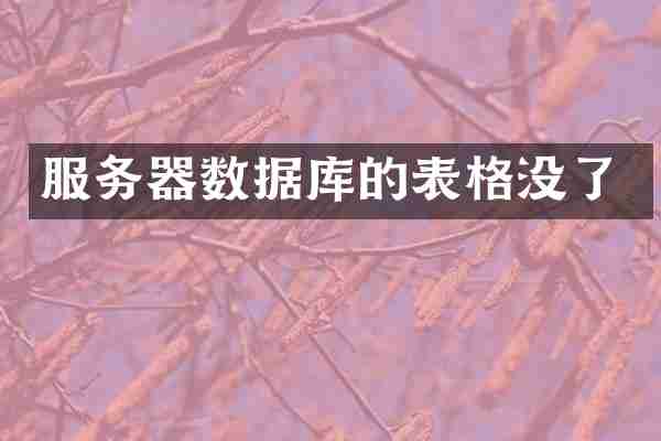 服务器数据库的表格没了